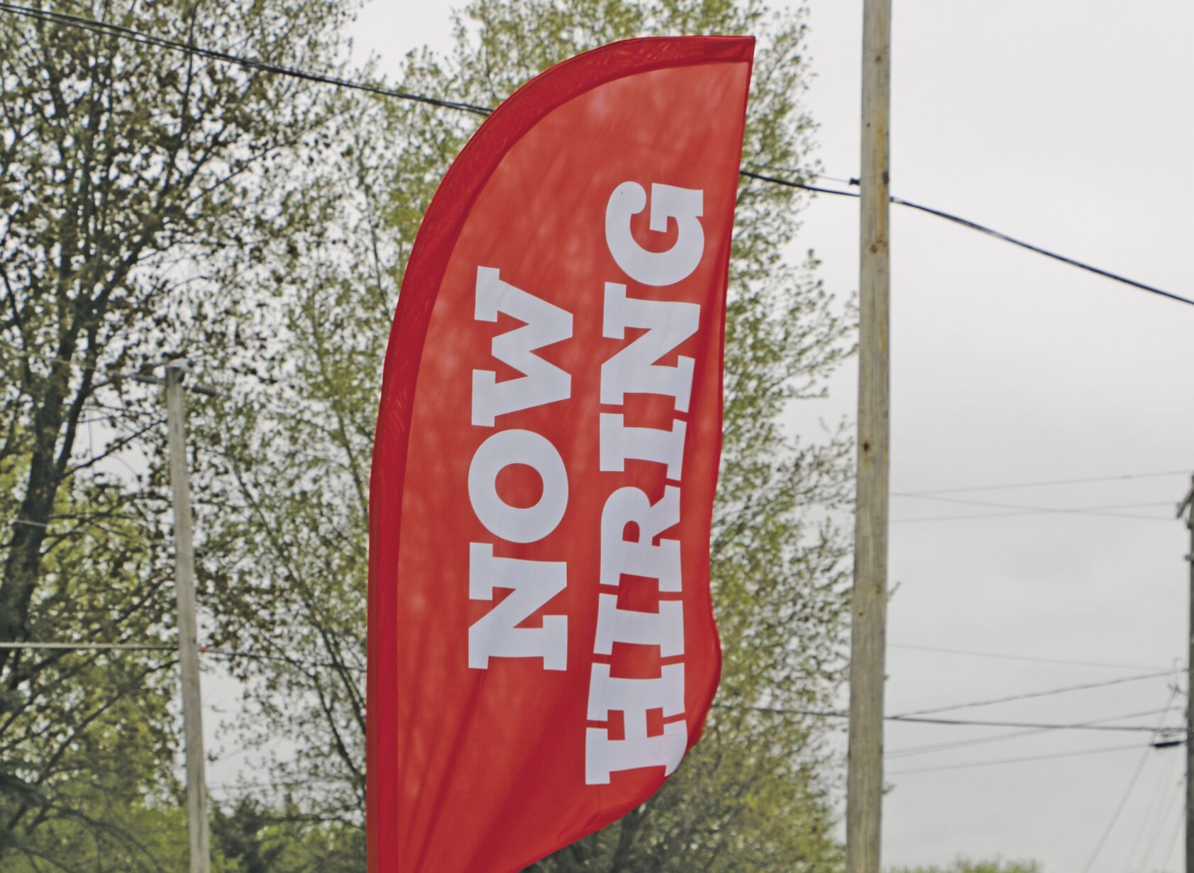 Now hiring.jpg